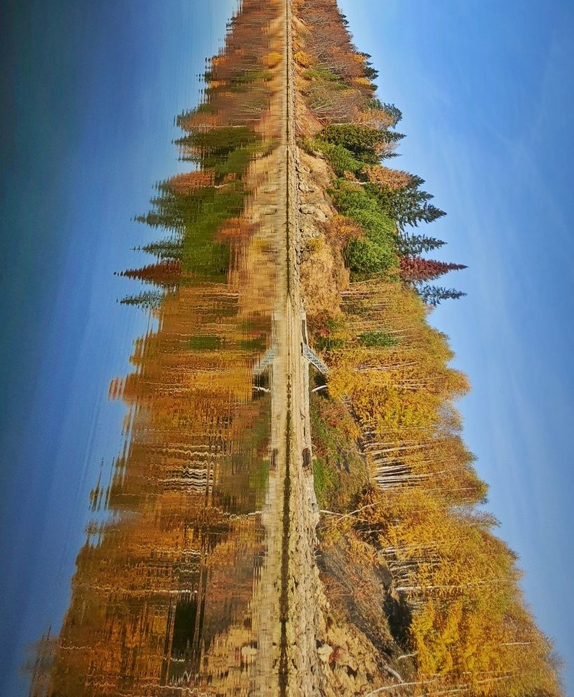 Photograph by Елена