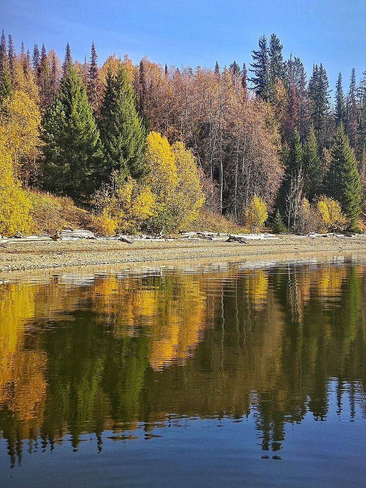 Photograph by Елена