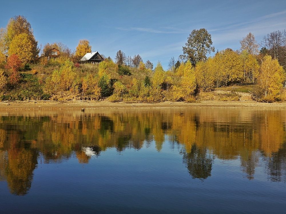 Photograph by Елена