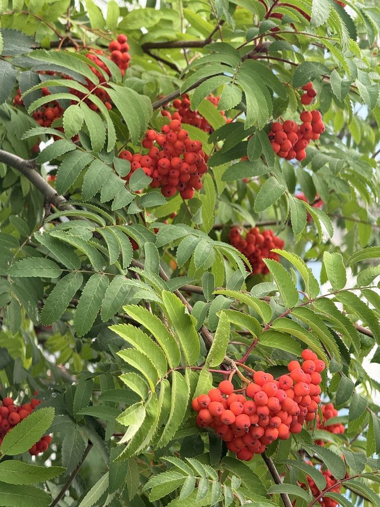 Photograph by Константин Калмыков