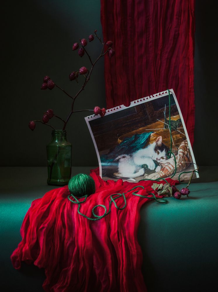 Photograph by Юлия Яремко