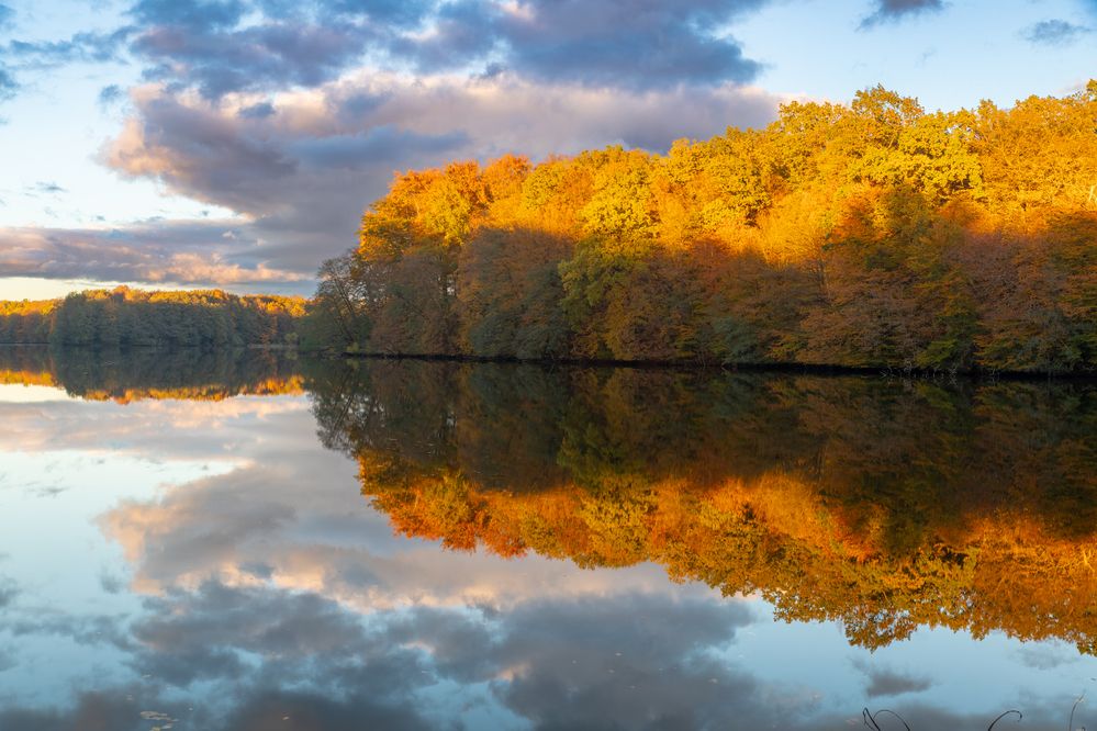 Photograph by Константин Чижов