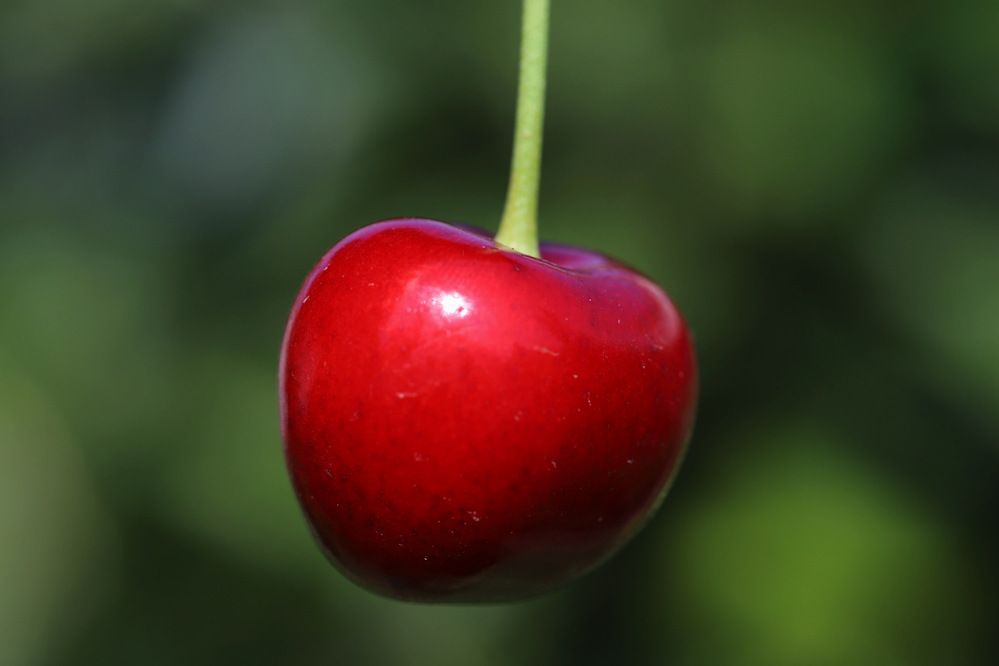 Фотография автора Татьяна Салиева