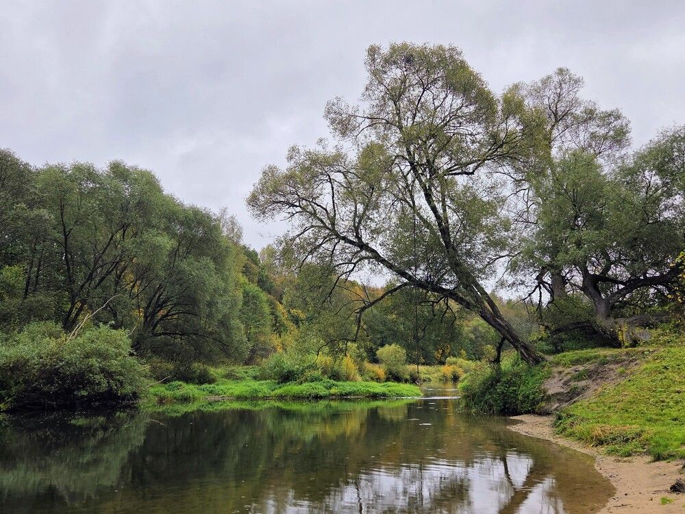 Photograph by Дарья Булавина