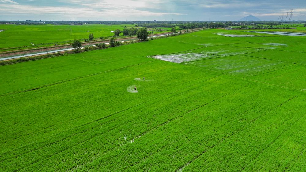 Photograph by TON BAO VAN