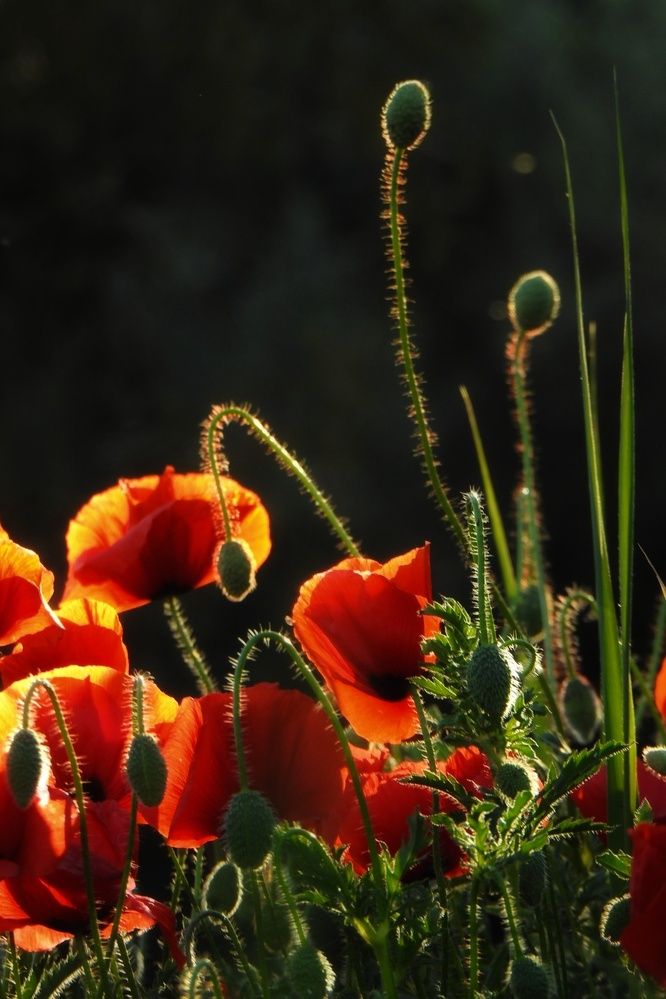 Photograph by fuat cimok