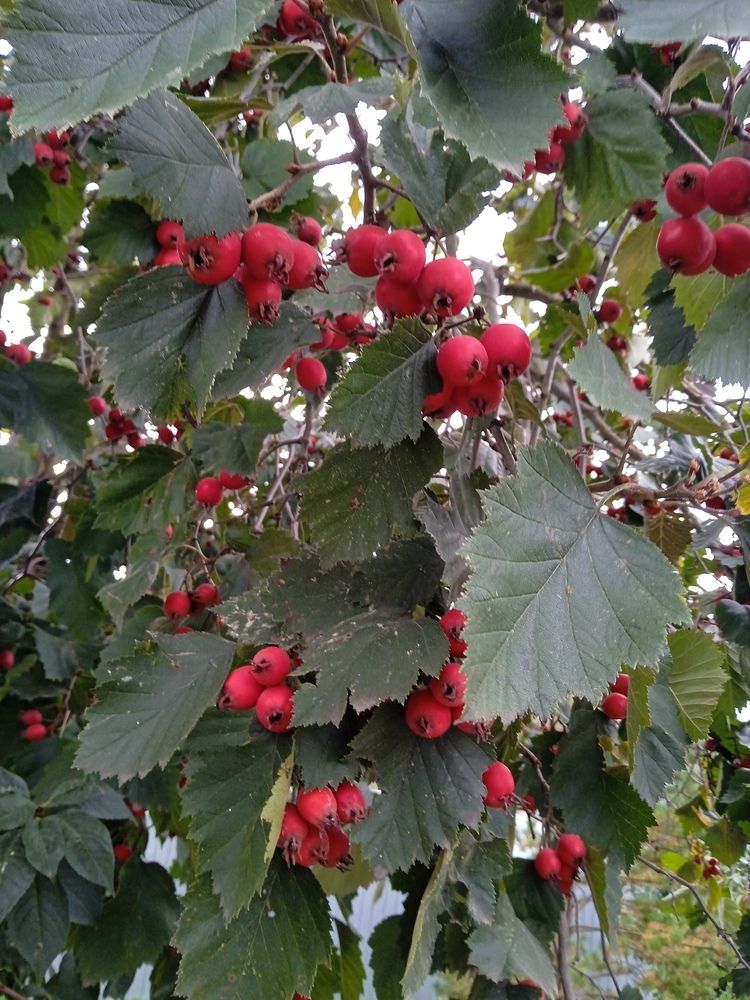 Photograph by Светлана