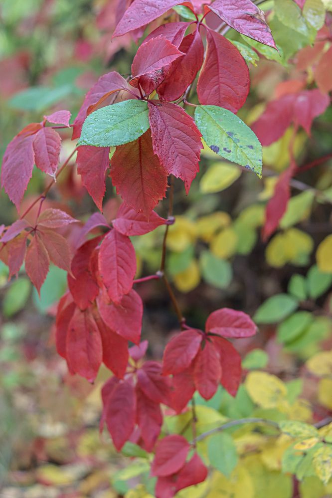 Photograph by Аня Проскурякова