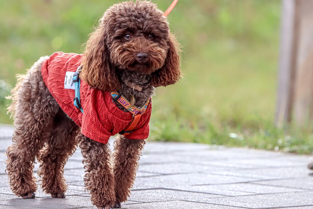 Photograph by Аня Проскурякова