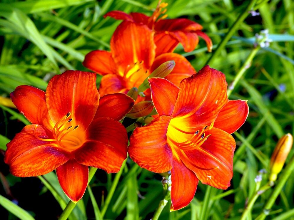 Photograph by Михаил Обертаев