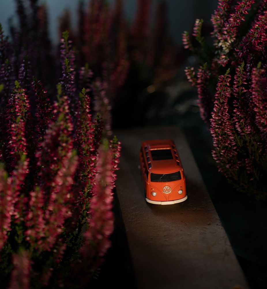 Фотография автора Viktoria Roschen