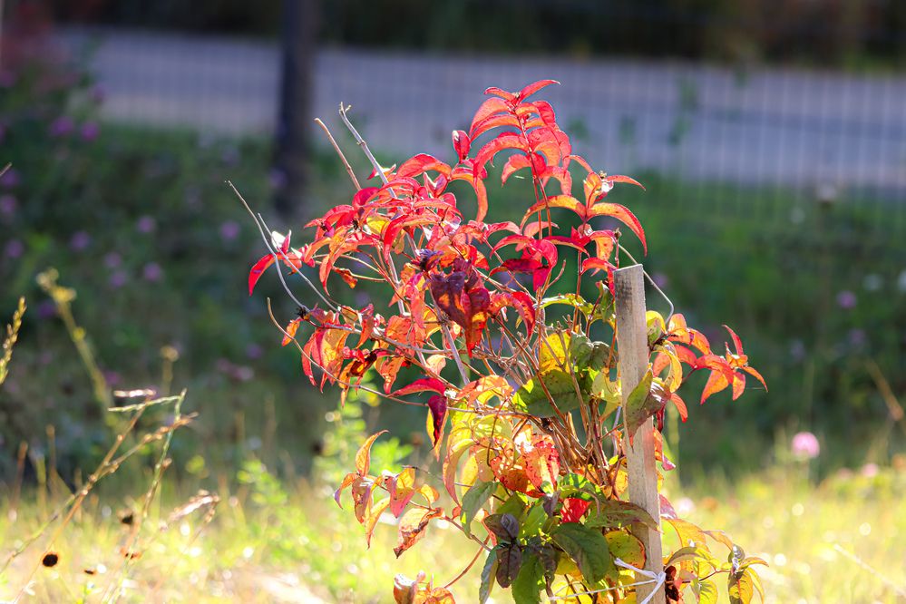 Photograph by Аня Проскурякова