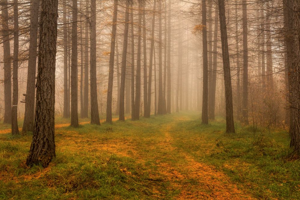 Photograph by Денис Хабибуллин