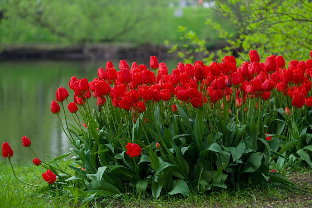 Фотография автора Viktoriya Kim