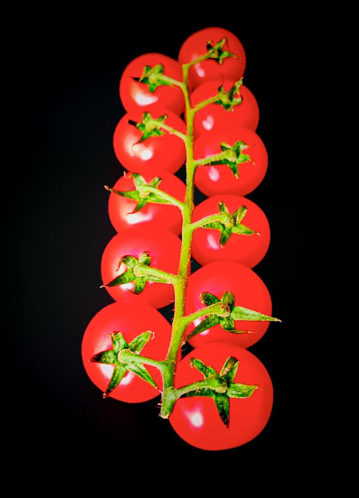 Фотография автора Rafa