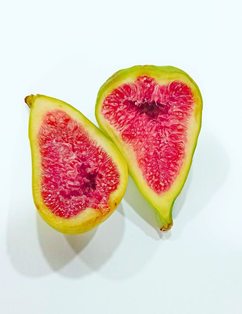 Фотография автора Rafa