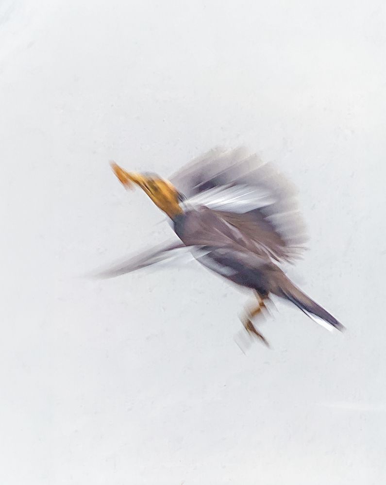 Photograph by Jayakumar MN