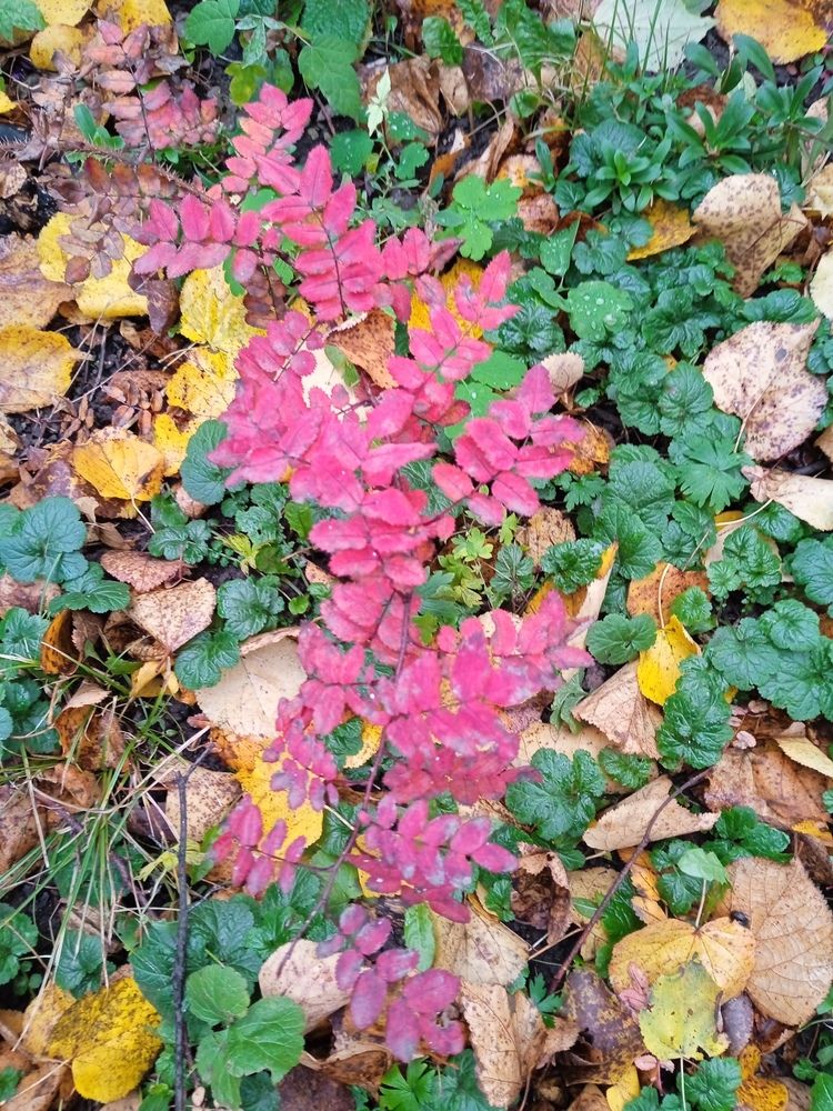 Photograph by Светлана