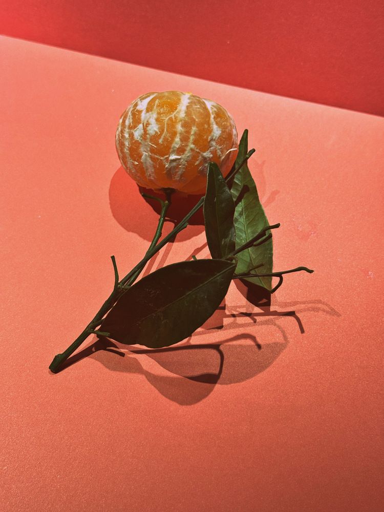 Photograph by Алёна Яцкевич