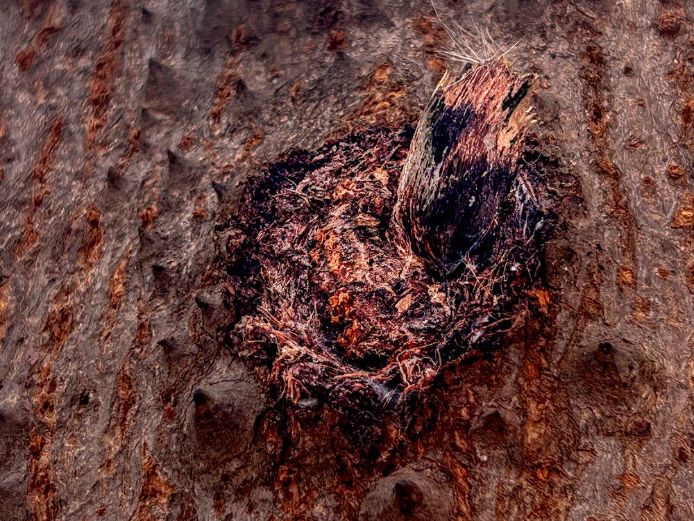 Фотография автора savitri Rawat