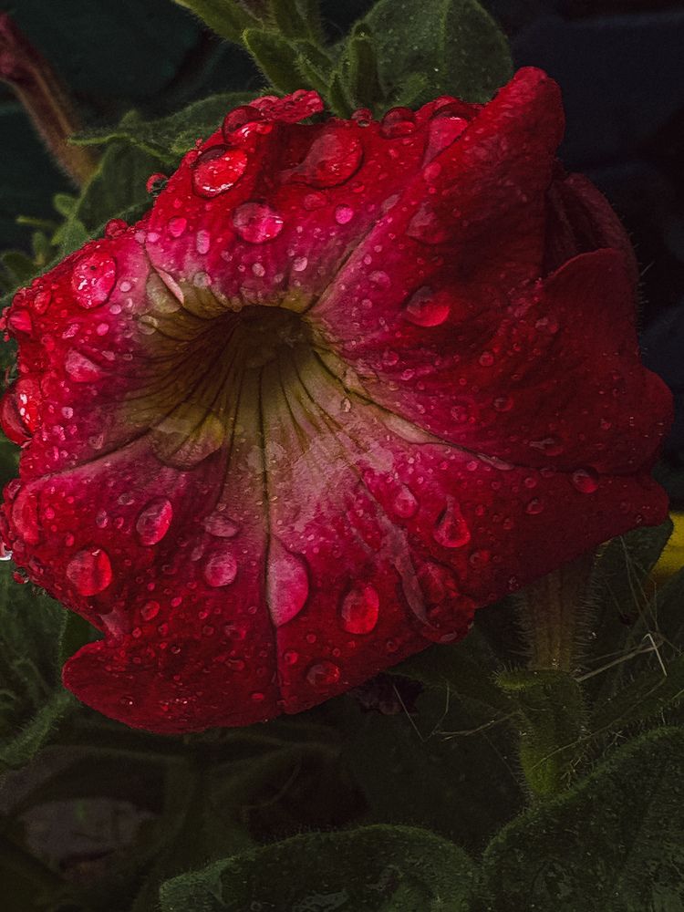 Photograph by Марина Харитонова