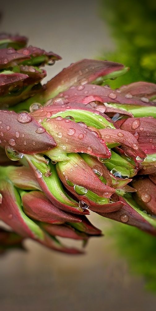 Photograph by Ольга Куцева