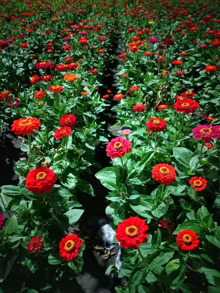 Photograph by OLGA MIKHNEVICH