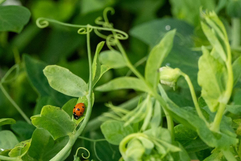 Фотография автора Бычков Валерий
