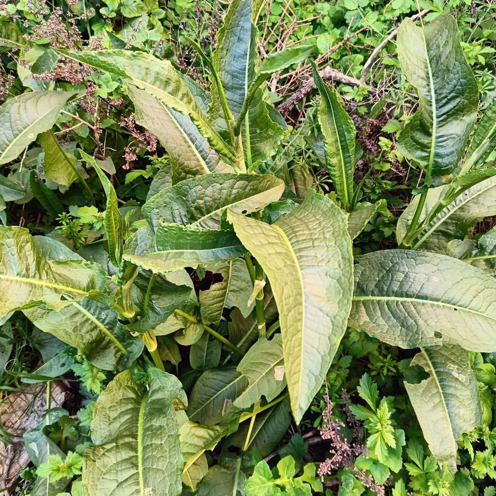 Photograph by Сергей Борисов