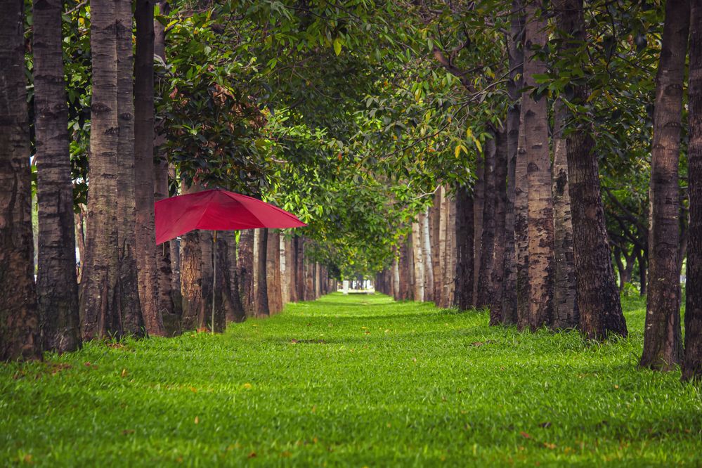 Photograph by Chau Nguyen