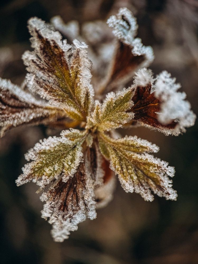 Фотография автора Мария