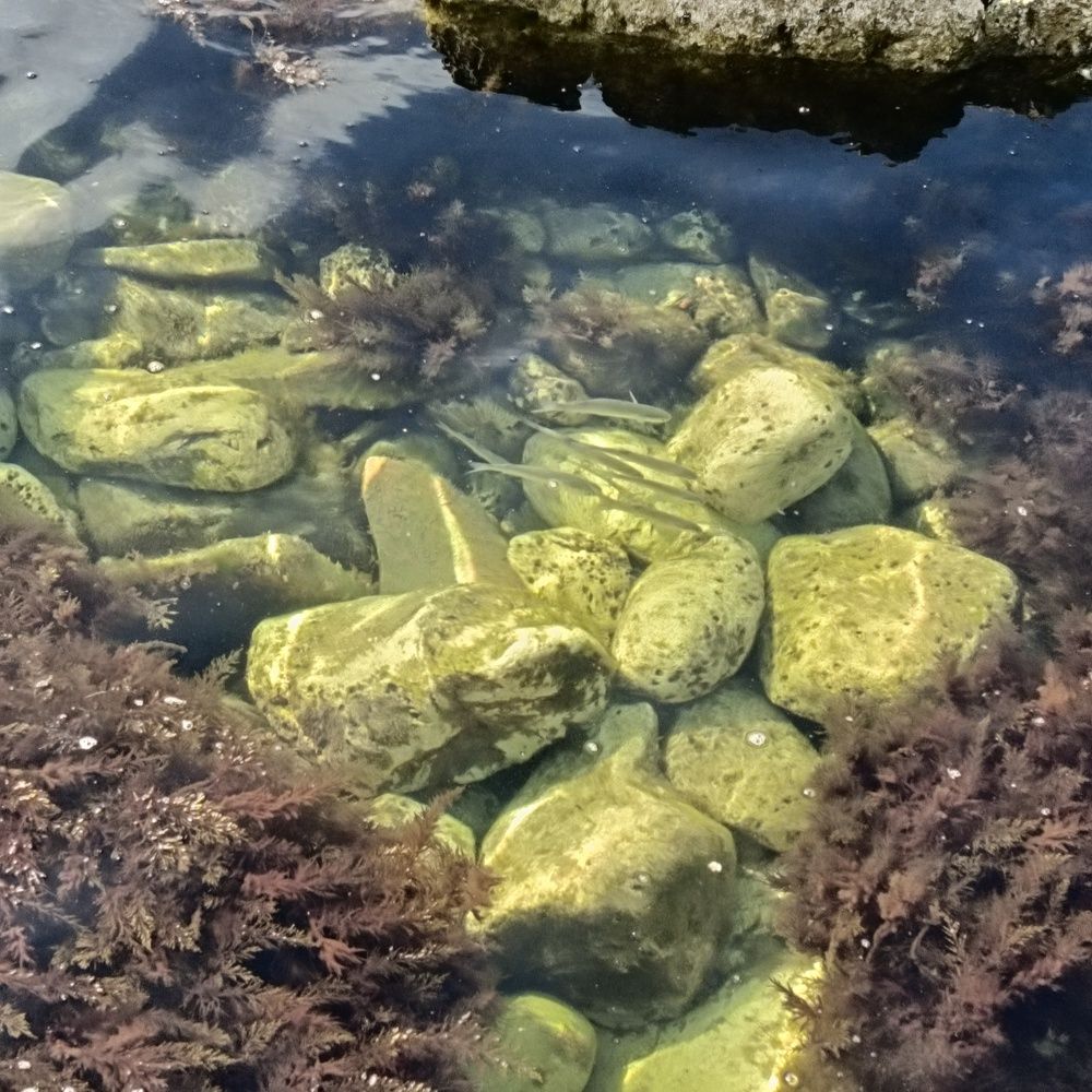 Photograph by Сергей Борисов