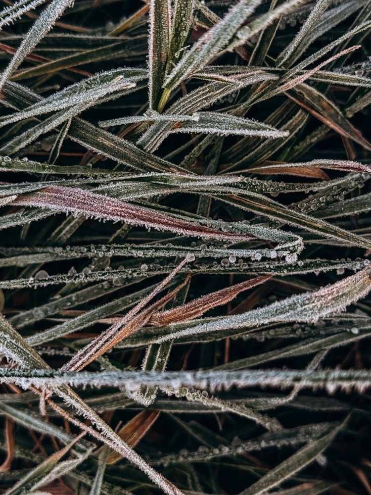 Фотография автора Мария