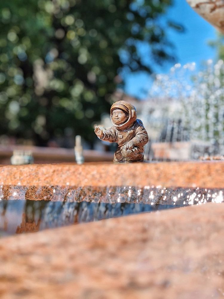 Фотография автора Светлана Васильева