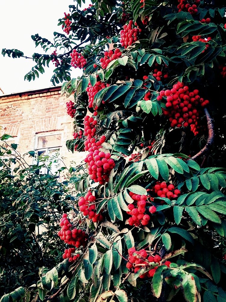 Photograph by Марина Ткаченко