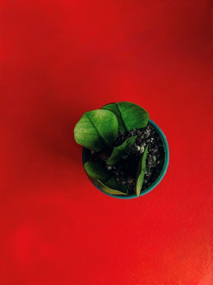 Фотография автора Мария