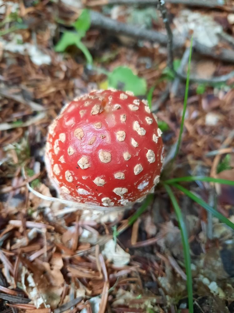 Photograph by Елена