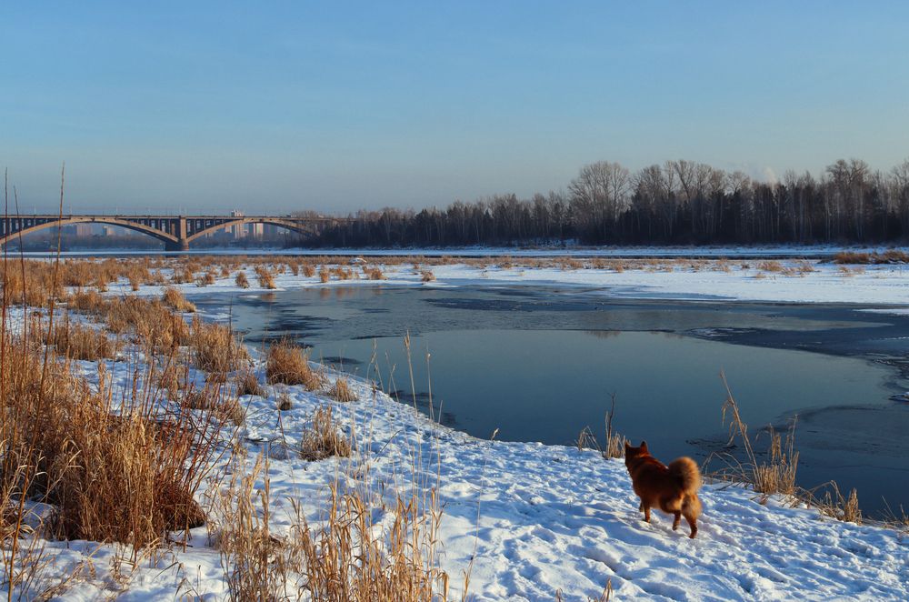 Photograph by Алёна Гантимурова