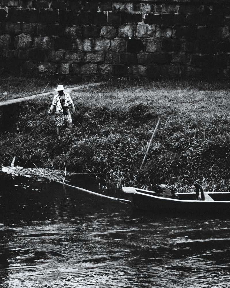 Photo #12738755