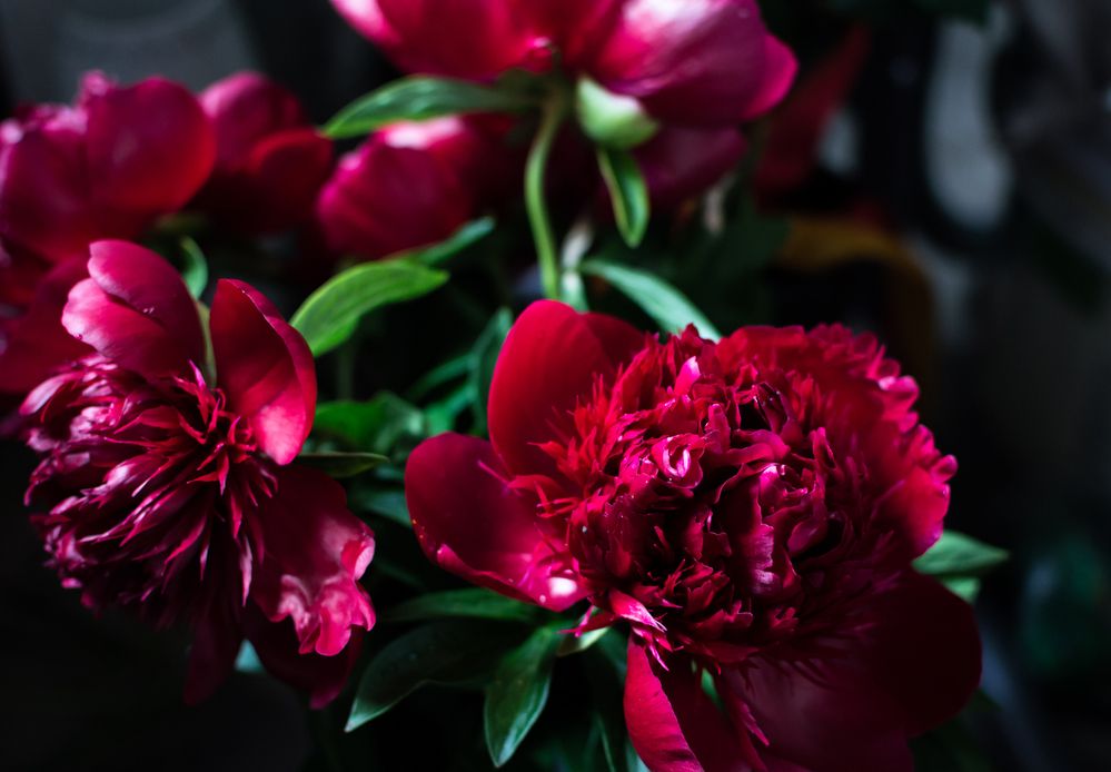 Photograph by Ирина Эф