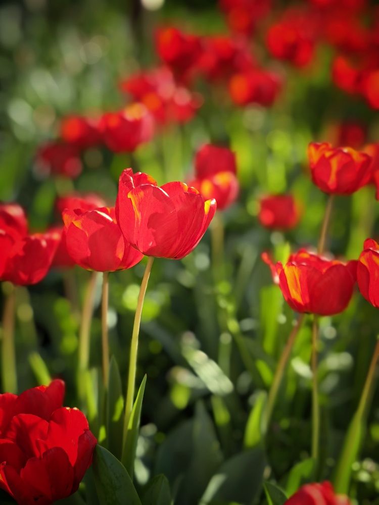 Photograph by OLGA MIKHNEVICH