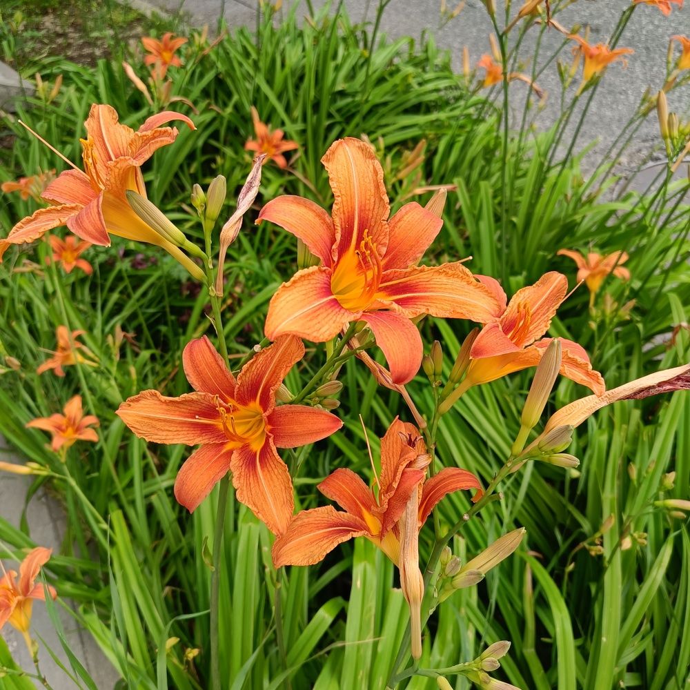 Photograph by Сергей Борисов