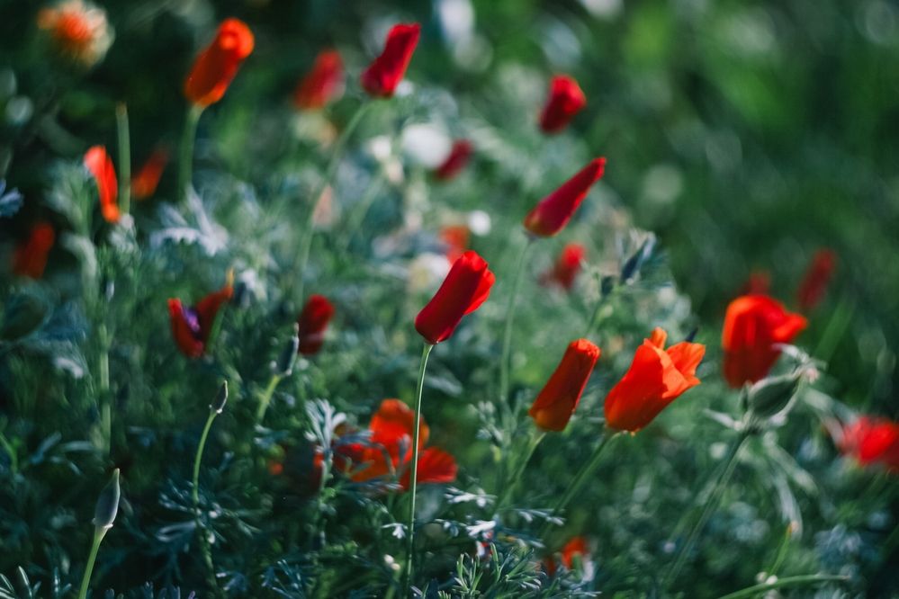 Photograph by Ирина Эф