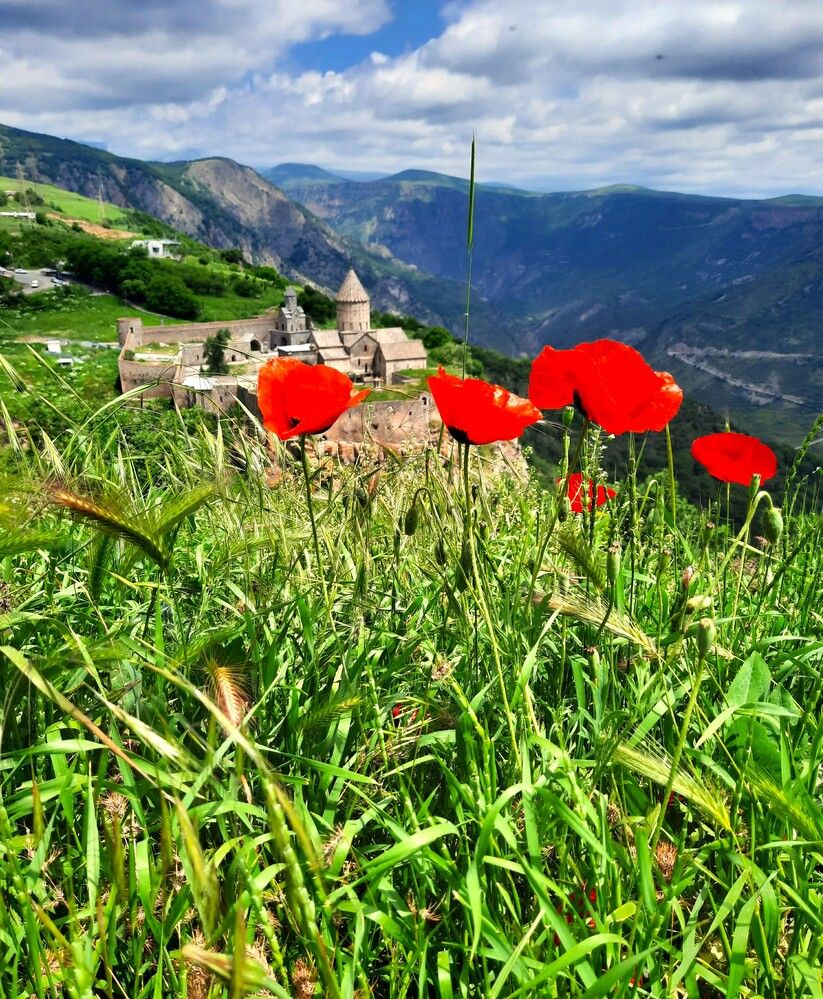 Фотография автора Елена Пикатова