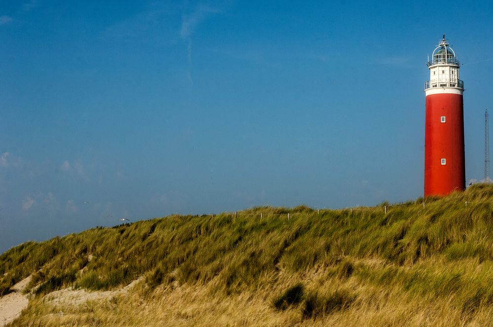 Фотография автора Chorche Prigo