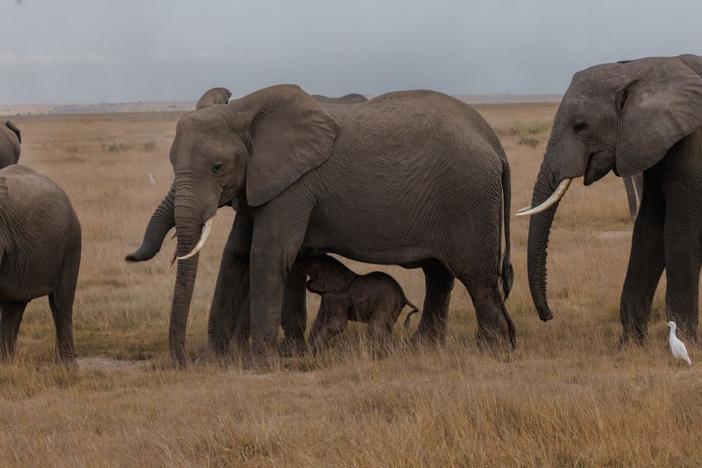 Photograph by Кирилл Мазазолин