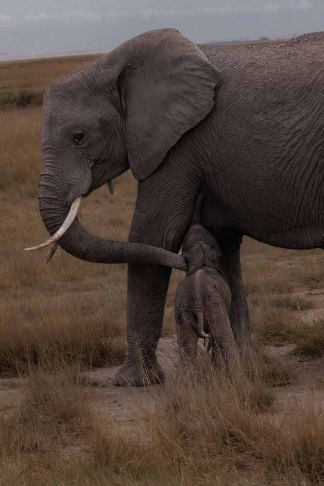 Photograph by Кирилл Мазазолин