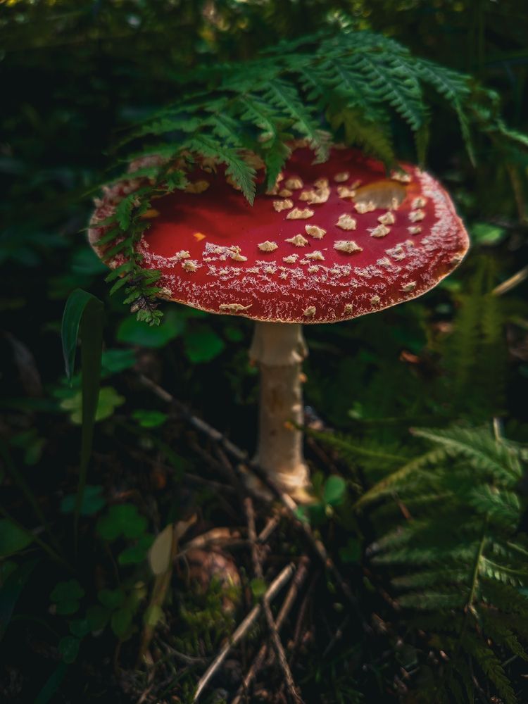 Photograph by Екатерина Никитина