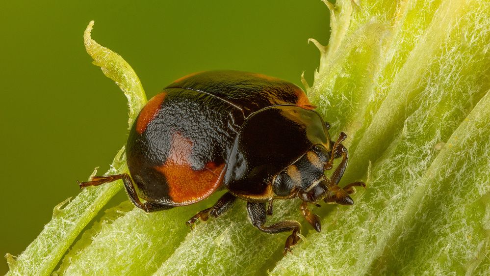 Photograph by Андрей Кривов