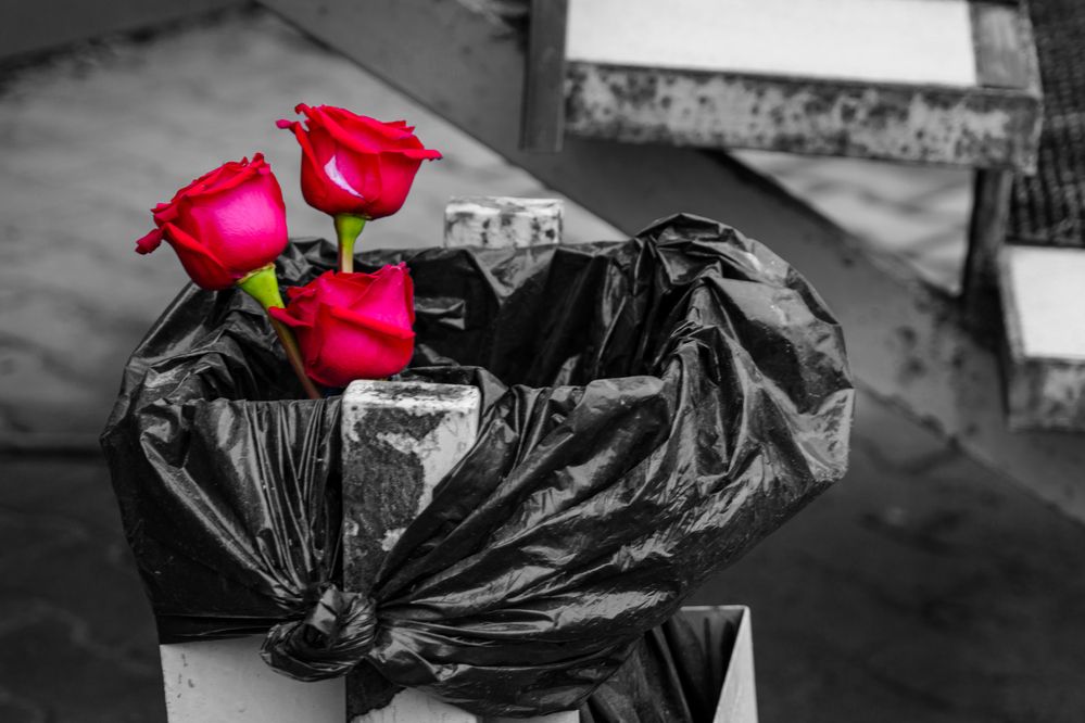 Photograph by Владимир Рогулькин